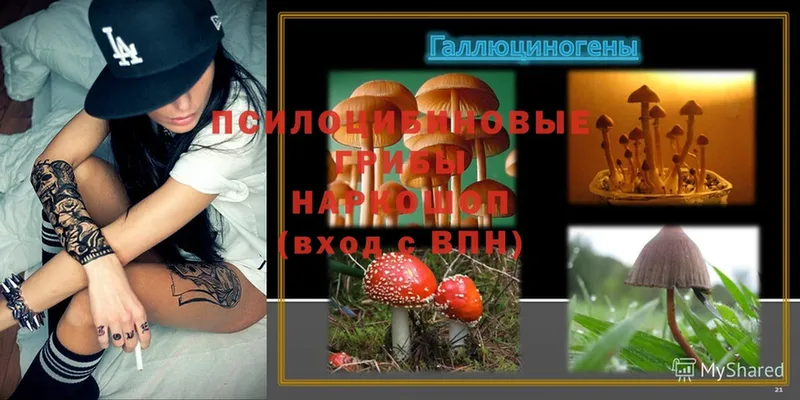 Псилоцибиновые грибы MAGIC MUSHROOMS  Кириллов 